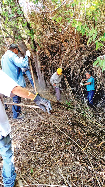 Fomento Agropecuario da limpieza a sequía