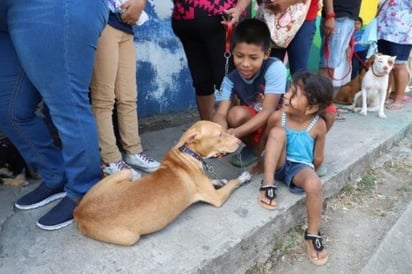 Acuden 30 ciudadanos al día a presidencia pidiendo atención para sus cachorros