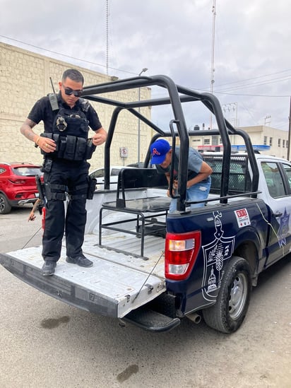 Dos borrachos y un drogadicto fueron detenidos por la Policía Municipal