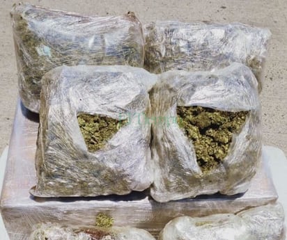 Guardia Nacional localiza 19 paquetes de marihuana en Coahuila