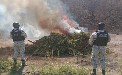 Dan positivo a marihuana 520 elementos de la Guardia Nacional 