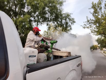 Vectores continúan realizando trabajos de fumigación