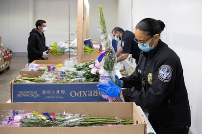 CBP especifica el tipo de flores que pueden cruzar 