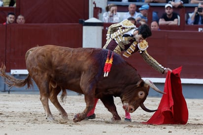 Saltillenses quieren corridas de toros y peleas de gallos