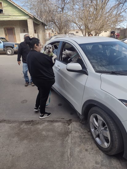 Drive Thru tuvo poca respuesta por parte de la comunidad para la vacuna contra la rabia 