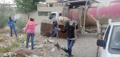 Autoridades municipales promueven campañas de concientización sobre el cuidado del medio ambiente 