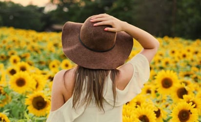 El trend de “¿quién tiene el sombrero?” que es tendencia en Instagram y TikTok: Este trend se ha vuelto viral al igual que el de la mariposa o el del ascensor.