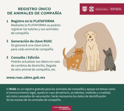 ¿CURP para mascotas? Cómo tramitar RUAC para tu michi y lomito; aquí te decimos