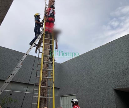 Trabajador del municipio fallece mientras podaba palmas del ISSSTE