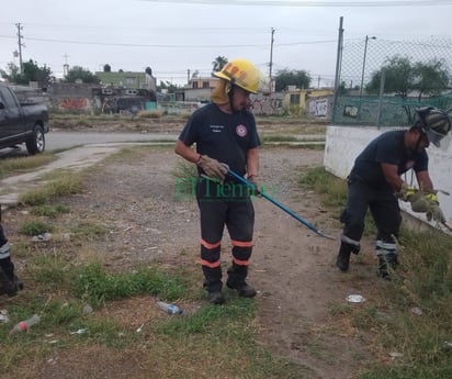 Bomberos atienden llamado en Mezquital por presencia de víboras 