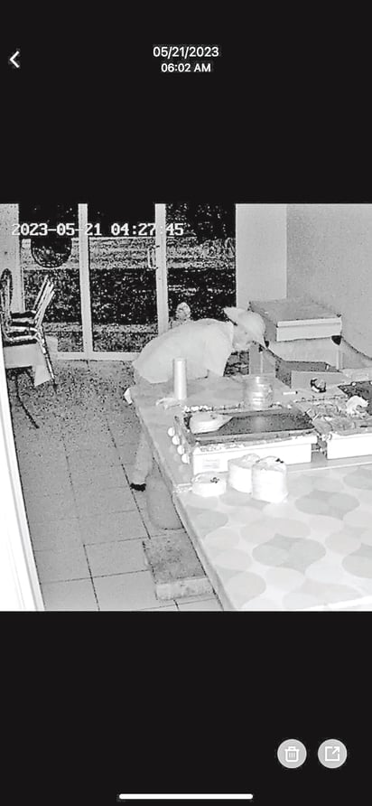 Cámaras captan a 'ratas' robando tanques