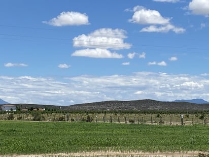 Alcalde: Lluvias son benéficas para el municipio y su campo