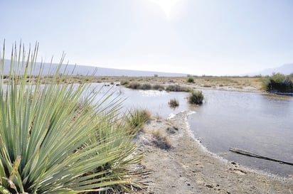 Lluvias llenan pilas y estanques en Cuatro Ciénegas