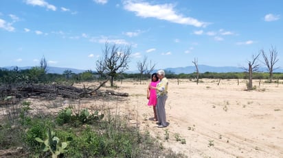 San Buenaventura proyecta bosque ecológico