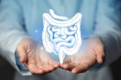 Expertos dicen que el síndrome de intestino irritable puede ser curado