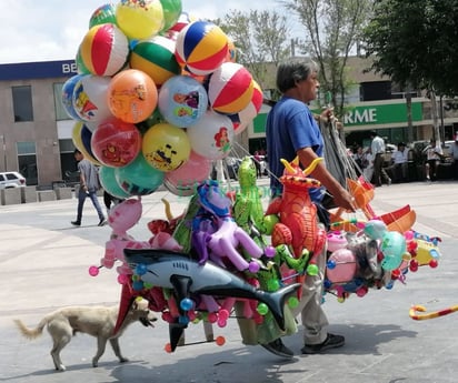 'Lomito' fiel acompañante del comerciante