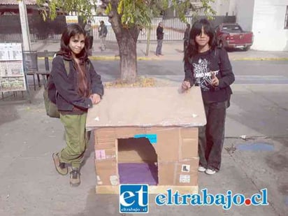 Niñas fabrican casitas para perros sin hogar: Conmovidas por la situación de tantos perros callejeros éstas niñas hicieron casas para donarlas.