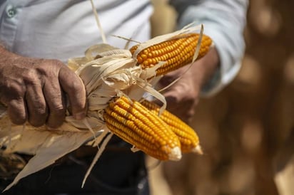 Canadá se suma con EU en controversia contra México