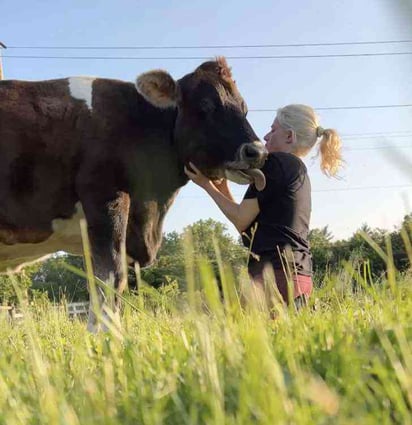 Vaquita ciega fue rescatada y no para de abrazar a sus nuevos dueños: El Hogar del Tío Neil es una institución que recientemente rescató a una vaca lechera de 19 años que había nacido ciega.