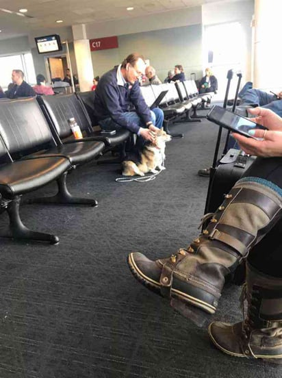 Esta tierna perrita se acercó para consolar a un desconocido: Una perrita rescatada se acerca a consolar a un hombre en el aeropuerto.