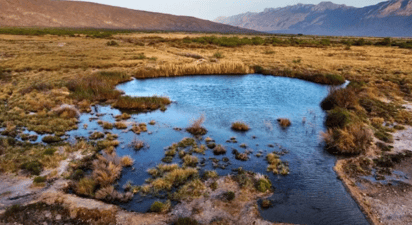 Sobreexplotación en Cuatro Ciénegas: SEMA