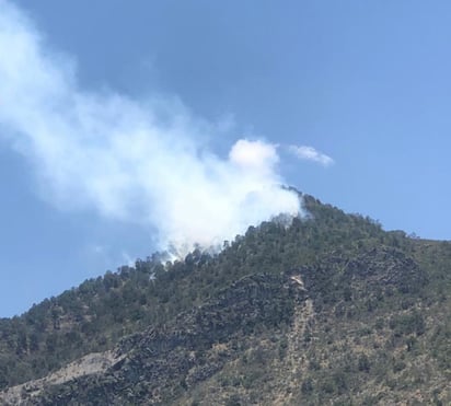 Sin acceso al fuego en la Sierra de Arteaga