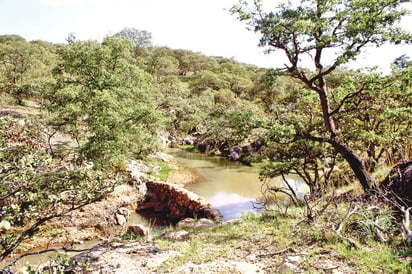 Tribunal sin magistrados; Arteaga con el agua entrampada