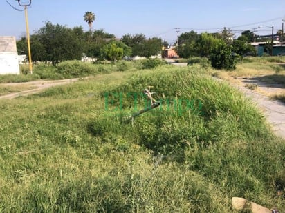 Plaza en completo abandono y reforestación no atiende el reporte