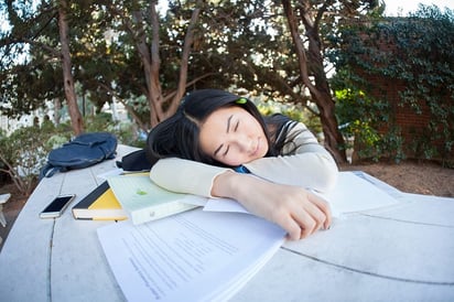 Las siestas retardan el encogimiento del cerebro: Dormir durante el día puede tener beneficios para tu salud.