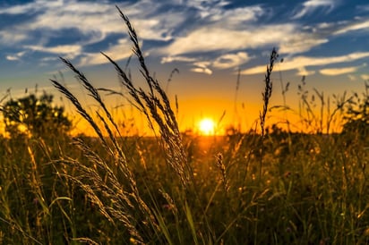 Hoy es el solsticio que marca el inicio del verano: ¿Conoces la diferencia entre solsticio y equinoccio?