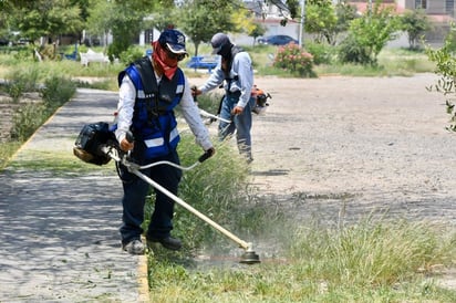 Forestación trabaja en deshierbe de plazas y jardines 