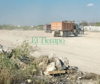 Denuncian a Senadora por apropiarse de una propiedad 