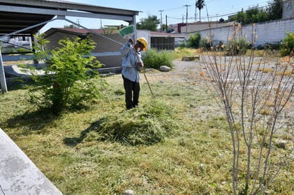 Presidencia de Monclova realiza forestación en escuelas