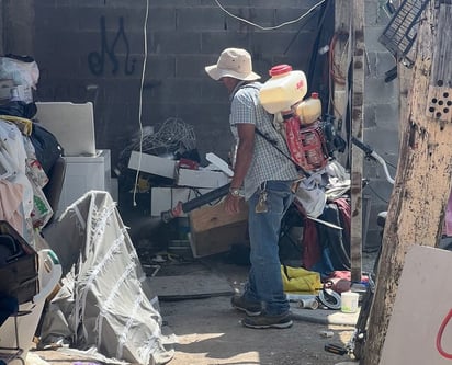 Casos sospechosos de rickettsia van a la baja en Piedras Negras 