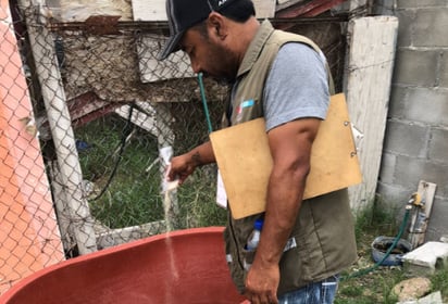 Piedras Negras es municipio prioritario en atención al dengue