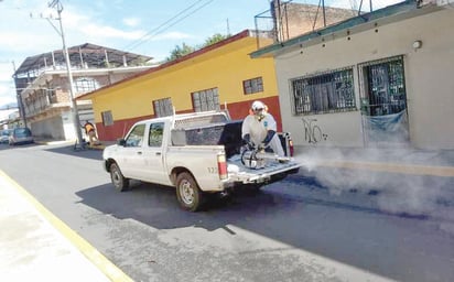 SSa descarta 10 sospechosos de dengue y sigue alerta del virus