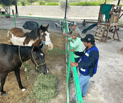 Fomento Agropecuario resguarda caballos de la colonia los Cedros