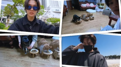 STRAY KIDS: Lee Know es atento con sus gatos y lo muestra en su último vlog