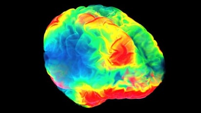 Qué nos enseña la neurociencia sobre el placer