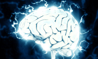 ¿Cómo afecta el cambio climático al tamaño del cerebro de los seres humanos?