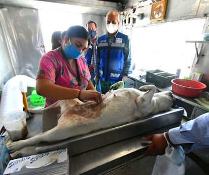 Arranca hoy la construcción del centro de atención y bienestar animal