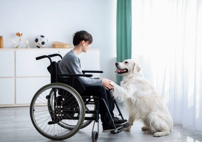 La salud emocional de personas con enfermedades graves no se ve notablemente favorecida por las mascotas