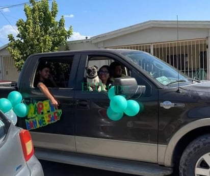 'Día del Perro' es festejado con caravana especial para mascotas