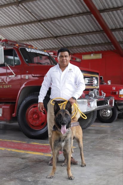 Rambo, perro rescatista su misión es rastrear la vida 