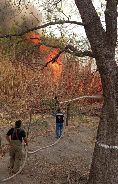 60% de los incendios en zacatales son causados por efecto lupa