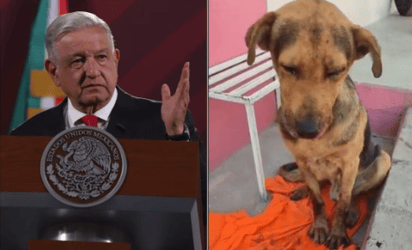 AMLO enviará iniciativa para establecer un día al 'trato justo' a los animales