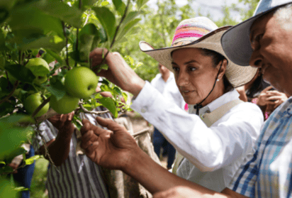 Claudia Sheinbaum y Mejía Berdeja declaran desde Saltillo