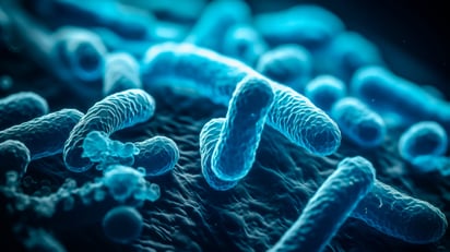 La vida social de las bacterias, investigación galardonada