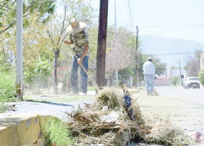 Forestación tiene 50 peticiones por semana de colonias 