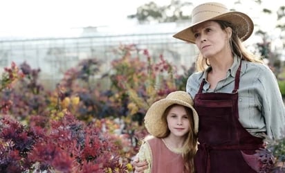 Llega a Prime Video la nueva miniserie de los productores de 'Big Little Lies': Los amantes de los dramas y los personajes femeninos no se pueden perder \'Las flores perdidas de Alice Hart\' 